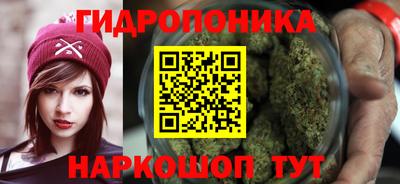 Альфа ПВП Краснокаменск