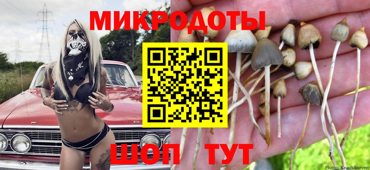 Галлюциногенные грибы GOLDEN TEACHER Зеленогорск